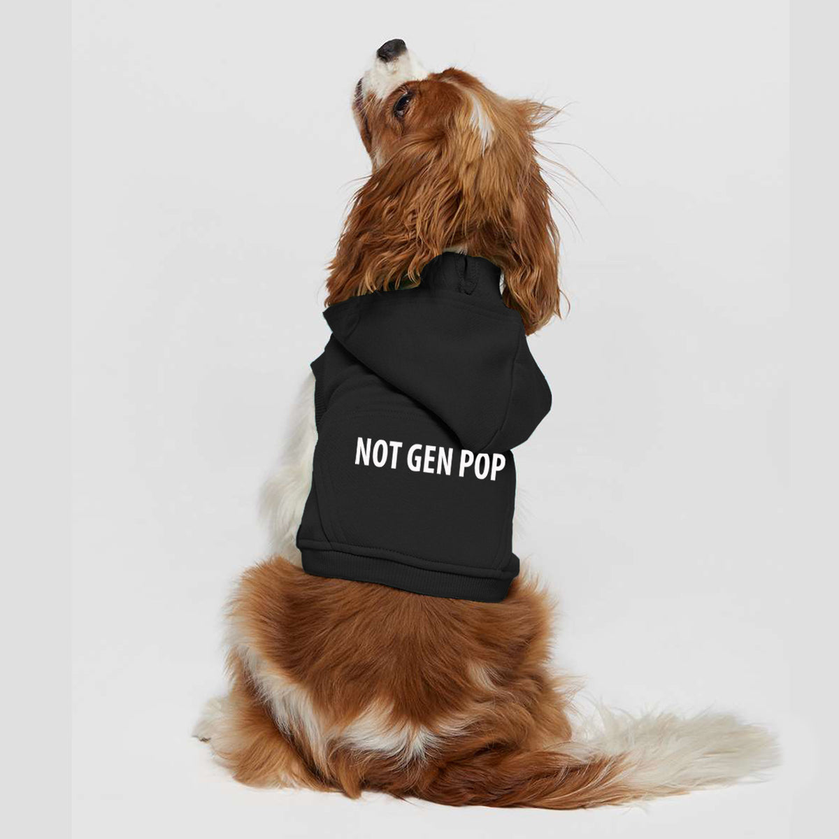NOT GEN POP, Raised Logo, Doggie Fleece Hooded Sweatshirt