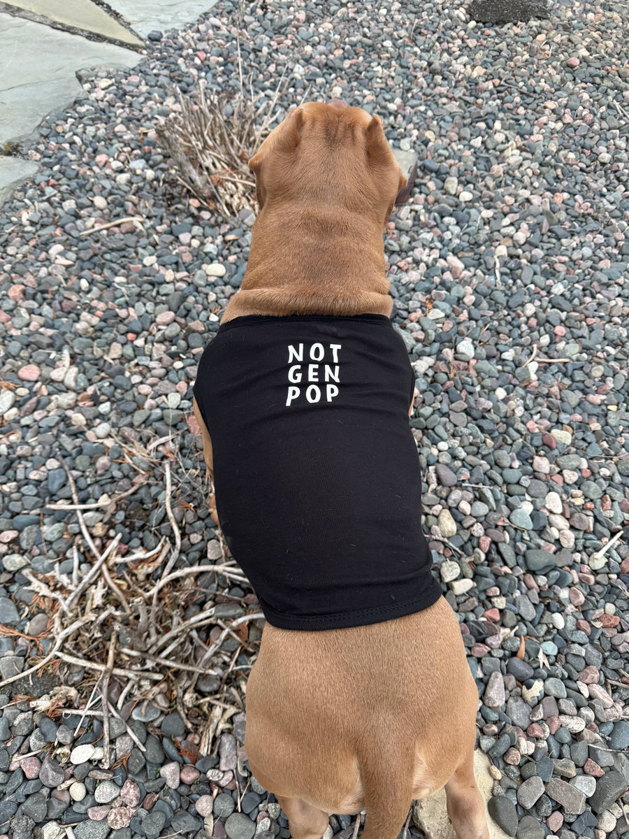 3902 - Dog wearing a black sleeveless shirt with 'NOT GEN POP' text on a gravel surface.